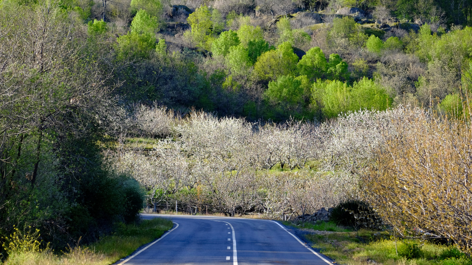 Valle del Jerte